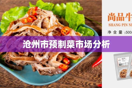 沧州市预制菜市场分析