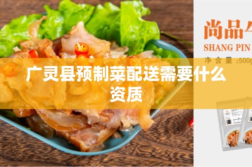 广灵县预制菜配送需要什么资质