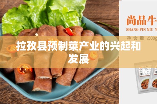 拉孜县预制菜产业的兴起和发展