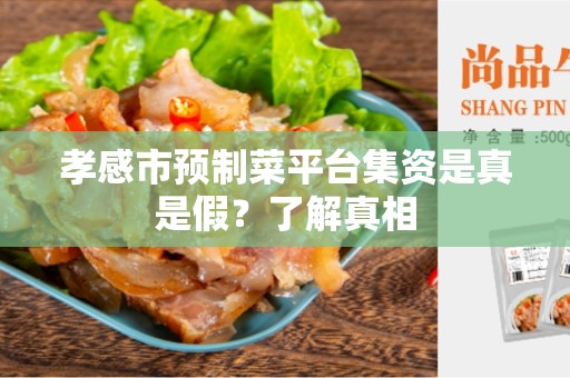孝感市预制菜平台集资是真是假？了解真相
