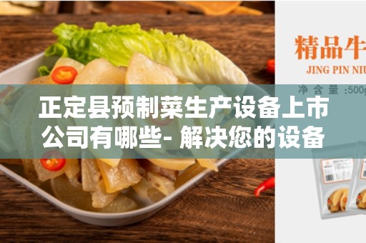 正定县预制菜生产设备上市公司有哪些- 解决您的设备需求