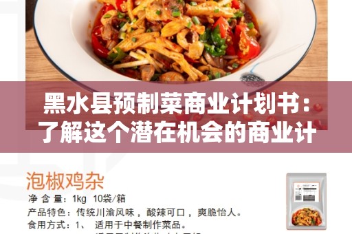 黑水县预制菜商业计划书：了解这个潜在机会的商业计划