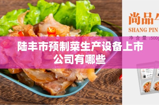 陆丰市预制菜生产设备上市公司有哪些