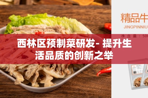西林区预制菜研发- 提升生活品质的创新之举