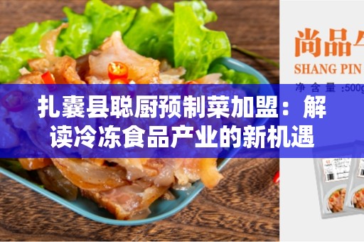 扎囊县聪厨预制菜加盟：解读冷冻食品产业的新机遇