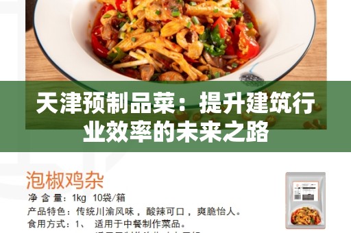 天津预制品菜：提升建筑行业效率的未来之路