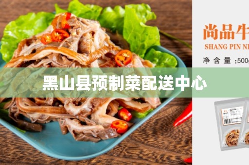 黑山县预制菜配送中心