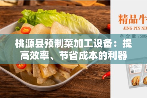 桃源县预制菜加工设备：提高效率、节省成本的利器