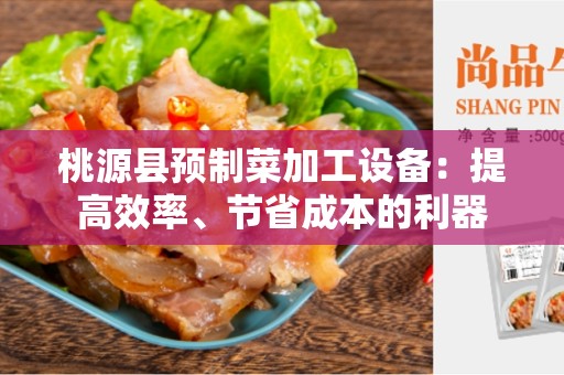 桃源县预制菜加工设备：提高效率、节省成本的利器