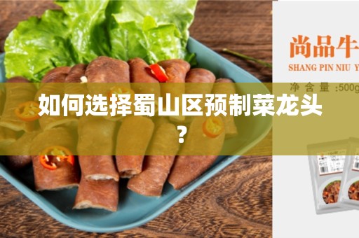 如何选择蜀山区预制菜龙头？