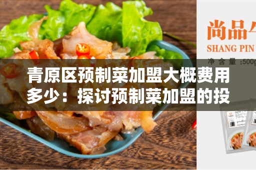 青原区预制菜加盟大概费用多少：探讨预制菜加盟的投资成本和盈利模式
