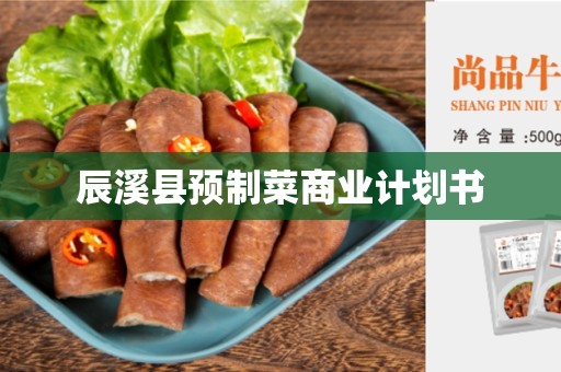 辰溪县预制菜商业计划书