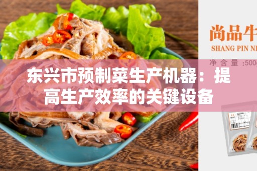 东兴市预制菜生产机器：提高生产效率的关键设备