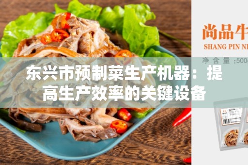 东兴市预制菜生产机器：提高生产效率的关键设备