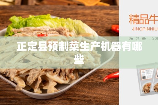 正定县预制菜生产机器有哪些