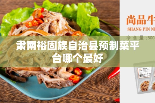 肃南裕固族自治县预制菜平台哪个最好