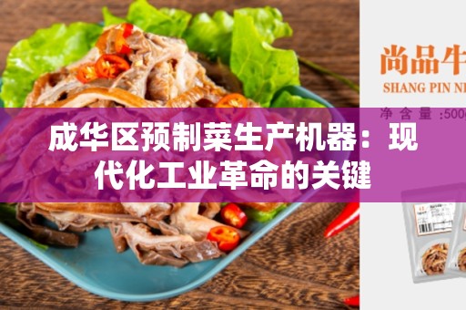 成华区预制菜生产机器：现代化工业革命的关键