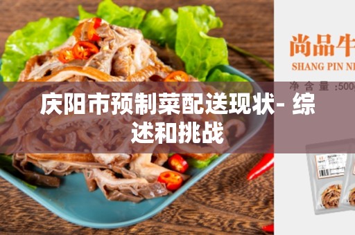 庆阳市预制菜配送现状- 综述和挑战