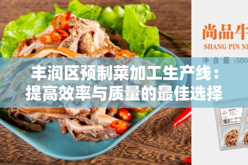 丰润区预制菜加工生产线：提高效率与质量的最佳选择