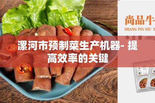 漯河市预制菜生产机器- 提高效率的关键