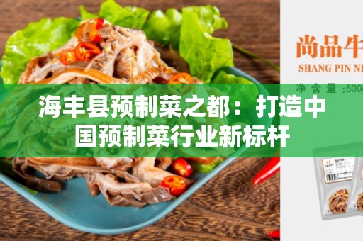 海丰县预制菜之都：打造中国预制菜行业新标杆