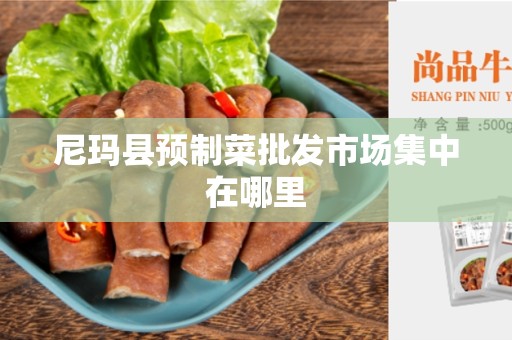 尼玛县预制菜批发市场集中在哪里