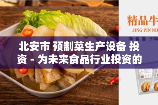 北安市 预制菜生产设备 投资 - 为未来食品行业投资的最佳选择