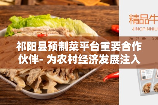 祁阳县预制菜平台重要合作伙伴- 为农村经济发展注入新活力