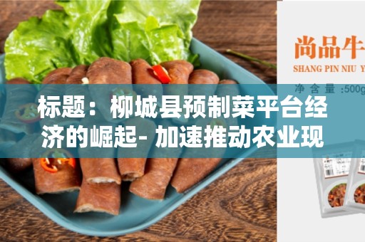 标题：柳城县预制菜平台经济的崛起- 加速推动农业现代化发展