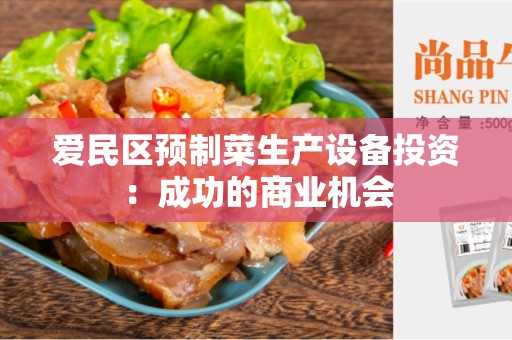 爱民区预制菜生产设备投资：成功的商业机会