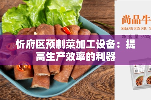 忻府区预制菜加工设备：提高生产效率的利器