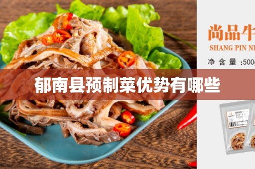 郁南县预制菜优势有哪些