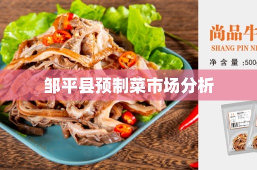 邹平县预制菜市场分析