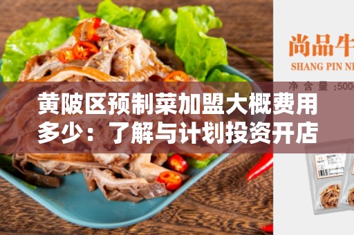 黄陂区预制菜加盟大概费用多少：了解与计划投资开店之前的预算规划