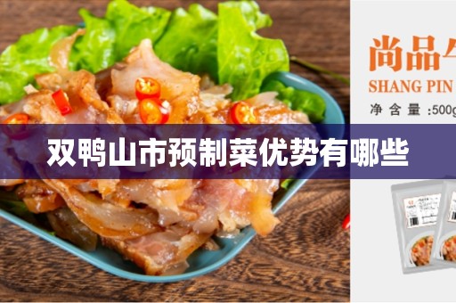 双鸭山市预制菜优势有哪些