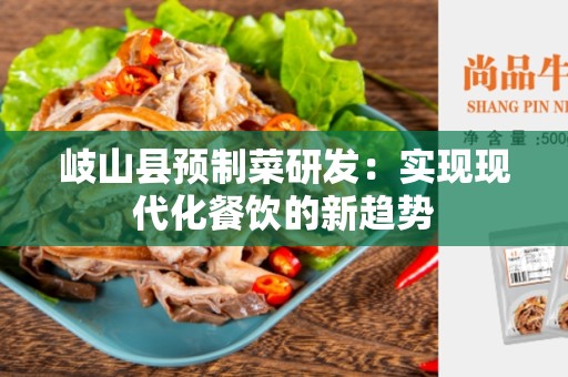 岐山县预制菜研发：实现现代化餐饮的新趋势