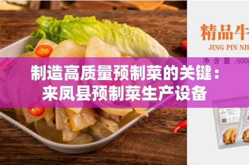 制造高质量预制菜的关键：来凤县预制菜生产设备