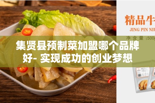 集贤县预制菜加盟哪个品牌好- 实现成功的创业梦想