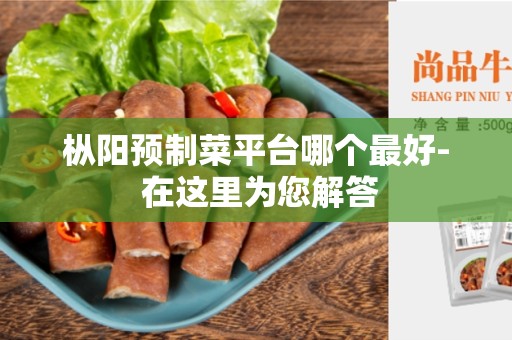 枞阳预制菜平台哪个最好- 在这里为您解答