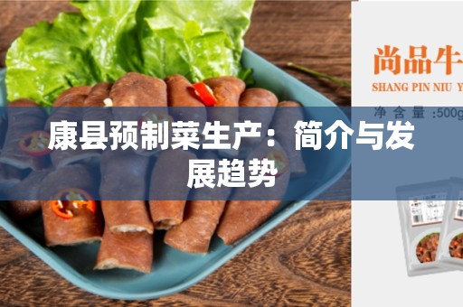 康县预制菜生产：简介与发展趋势