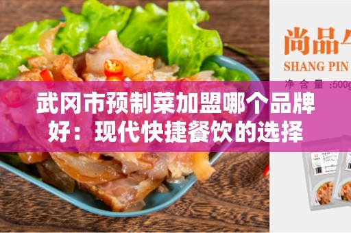 武冈市预制菜加盟哪个品牌好：现代快捷餐饮的选择