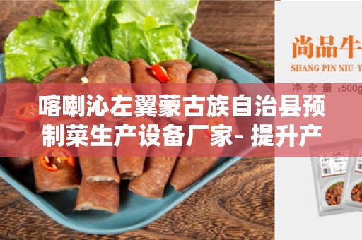 喀喇沁左翼蒙古族自治县预制菜生产设备厂家- 提升产能和生产效率的理想选择