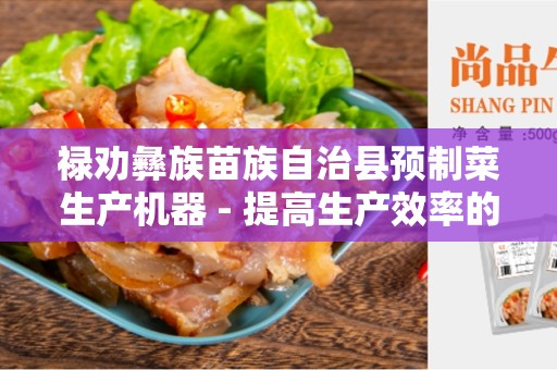 禄劝彝族苗族自治县预制菜生产机器 - 提高生产效率的关键工具