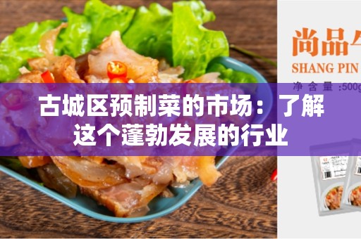 古城区预制菜的市场：了解这个蓬勃发展的行业