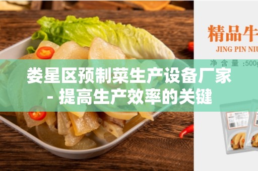 娄星区预制菜生产设备厂家- 提高生产效率的关键