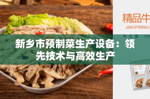 新乡市预制菜生产设备：领先技术与高效生产