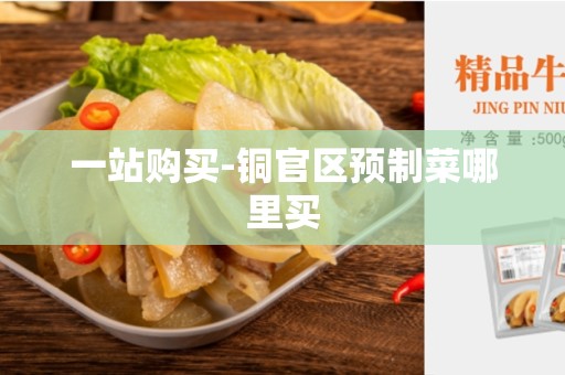 一站购买-铜官区预制菜哪里买