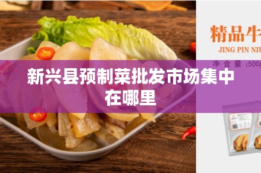 新兴县预制菜批发市场集中在哪里