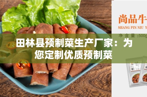 田林县预制菜生产厂家：为您定制优质预制菜