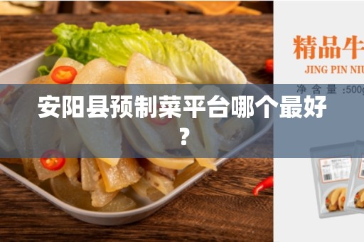 安阳县预制菜平台哪个最好？